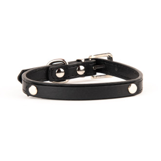 Нашийник за куче с ИМЕ – избор на букви за персонализация - Черен - XS