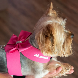 Кучешки нагръдници с панделка - Розов - S
