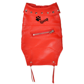 Кучешко кожено яке - Лапичка с ИМЕ - XS - Червено