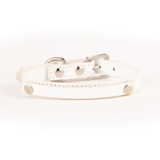 Нашийник за куче с ИМЕ – избор на букви за персонализация - Бял - XS